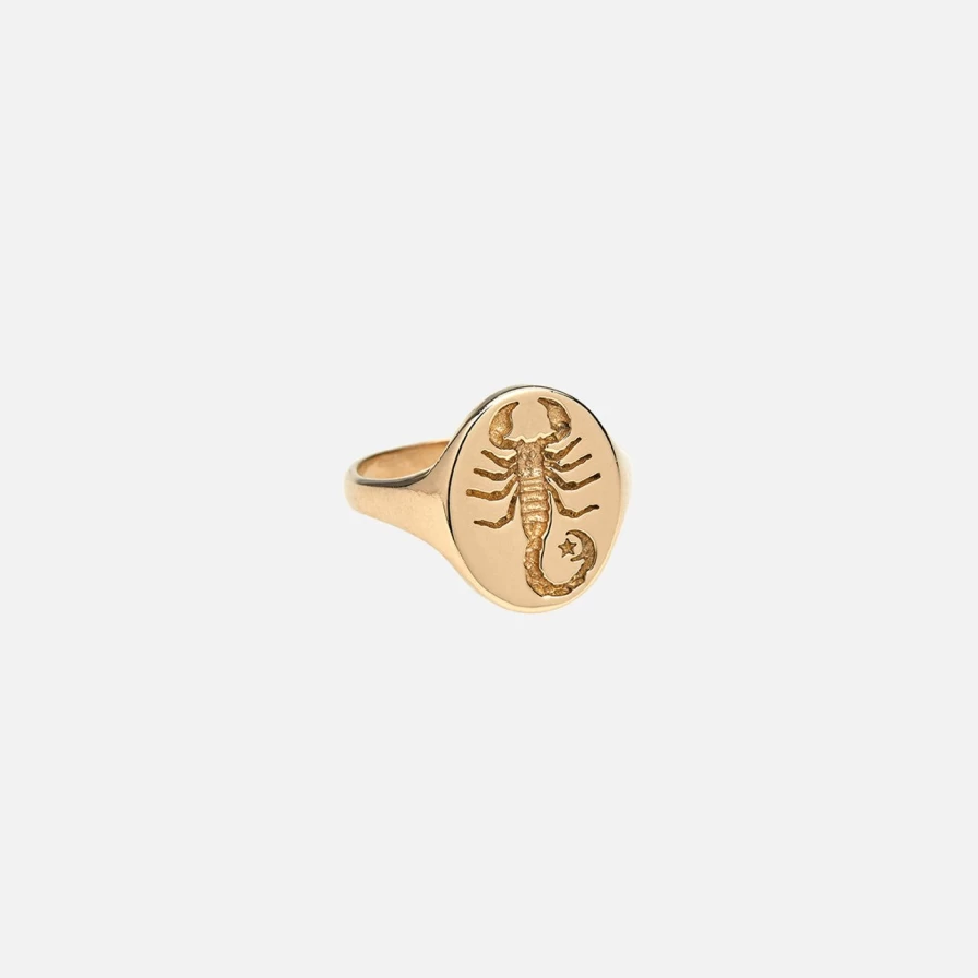 Talon Jewelry Gold Zodiac Signet Ring - Personalized Astrology Ring for Men & Women